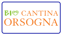 CANTINA ORSOGNA